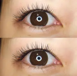 バインドロック【60束】オフなし🌟 アイケア付き◎ブラウン変更可能