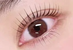 【練習モデル】パリジェンヌラッシュリフト🎀上下セット🧸ダメージケア+トリートメント🦋