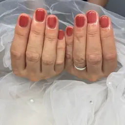 ワンカラー/オフ込み