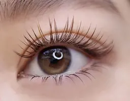 🌹オフ無料🌹地域最安値🌕どなたでも通え安い📣フラットラッシュ120本+下まつげ20本5300円