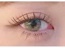 濃く見せたい方必見🦋カシミヤセーブル100本まで付け放題🌟オフ&美容成分入りコーティング付き