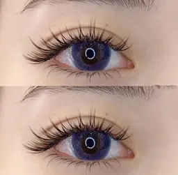 【オフ無料】バインドロック80束¥6980