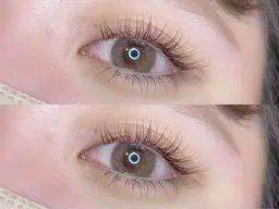 🌙 フラットラッシュ 100本 🌙