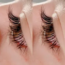 【ミニモ限定価格💙】カシミヤセーブル🌿フラットラッシュ120本❕オフ&美容液コーティング付き🌼