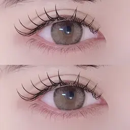 【新規】フラットラッシュ100本まで🪽オフ込み