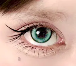 ▪️エクステ上下練習モデル▪️新デザイン✨◾️ワンホン.束.アニメラッシュ.バンコクスタイル✅ 39歳以下