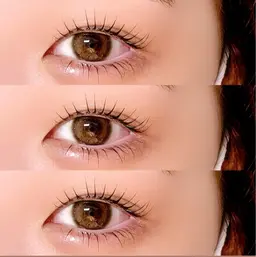 ラッシュリフト（下） ¥2500