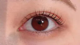 パリジェンヌorまつげパーマ