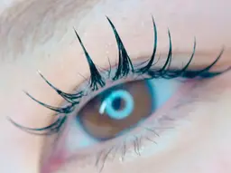 エクパ(エクステ120本＋LUSHLIFT)