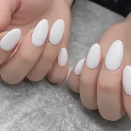 【本日限定】オフなしワンカラー🫧ゲリラクーポン