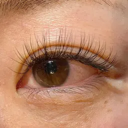 フラットラッシュ１６０本🌿　モチをよくするコーティング付🧺