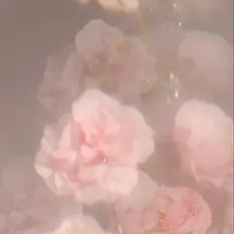 🖤マツエク オフのみ【シングルラッシュ】.｡.:*♡ダブル、バインド、ボリューム、LED＋¥1100🐩恵比寿