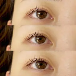 【マスカラパーマ】パリジェンヌ×ブラックティント🌼