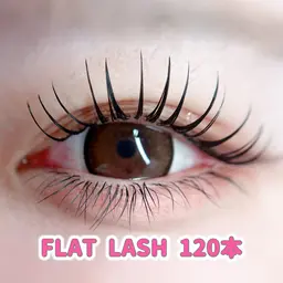 ✩ FLAT LASH 120本 ✩オフ無料/美容液コーティング付き