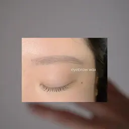【 平日限定 】アイブロウワックス(毛量調節込み+メイク仕上げ)