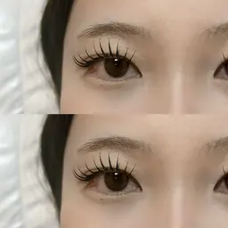 バインドロック60束