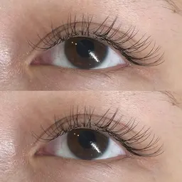 💫フラットラッシュ（80​〜​100本）💫