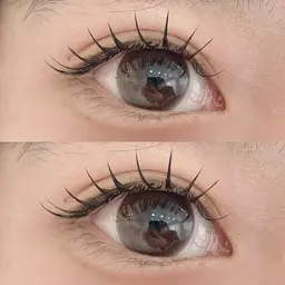 フラットラッシュ100本　コーティング付