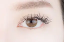 すぐ予約限定★オフなし最上級セーブル100本※10分前来店必須