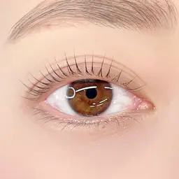 眉ワックスとマツパのセット【高濃度トリートメント付き】