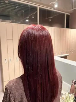 ブリーチ無しワンカラー🩵ྀི