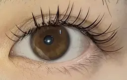 持続力1.5~2倍!!最先端ledエクステ100本🩵コーティング仕上げ付き🩵