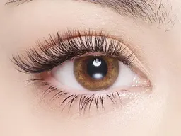 期間限定⭐️【持続力◎】　バインドロック100束