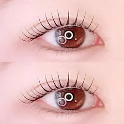 ラッシュリフト上下/パリジェンヌ上下