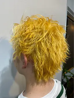 ブリーチ(詳細を必ずお読みください)