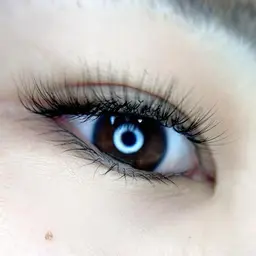 ボリュームラッシュ80束オフなし