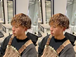 本日限定　メンズ　カット＋パーマ（ツイスト、ニュアンスパーマ、緩スパイラル、極道パーマ）＋トリートメント