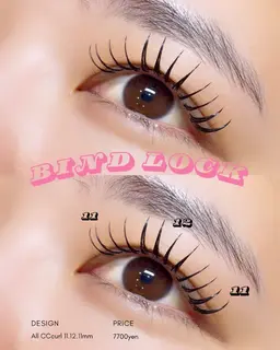 期間限定価格🌟【バインドロック100束】持続力◎ぱっちり目元に👀💕