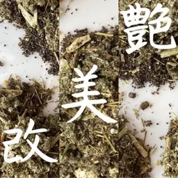 よもぎ蒸しの概念を覆す結果重視の『 若草 』よもぎ蒸し🌿( 改 )( 美 )( 艶 )３種の草から選べる