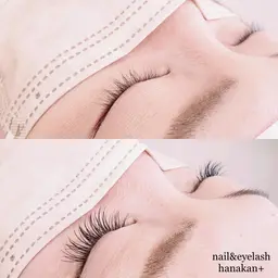 オフなし　フラットラッシュ カラー（ダークブラウン）100本までコーティング付き