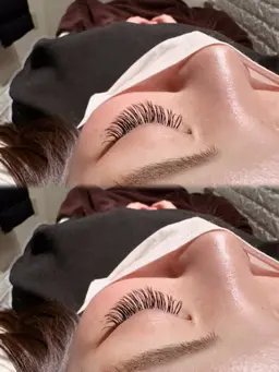 【無料モデル】超持続力！バインドロック40束～50束（コーティング付き）