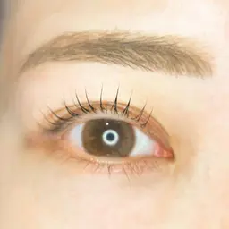 9/8 限定!!【セット割】パリジェンヌ(カールに変更可能)/アイブロウWAX