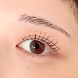 🎀1番人気🎀束感🪽韓国式まつ毛パーマ(3種のケア付き)