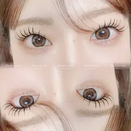 12月限定🎄ブラウンカラーエク🤎✨フラットラッシュ👀100本 恵比寿/渋谷/マツエク