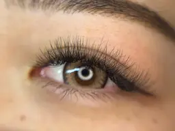 【堺市】ボリュームラッシュ100束（約300​〜​400本）¥6,900