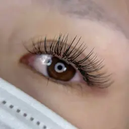 フラットラッシュ 60分付け放題🌿（160本まで）