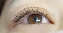 フラットラッシュ100本