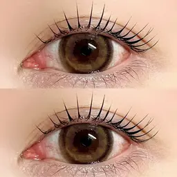 🌼ラッシュリフト🌼