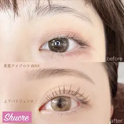 【美眉毛アイブロウ WAX】黄金比/垢抜けまゆ毛/オルチャン眉