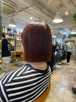 ☁️サクっと気分を変えたい方に☁️🌿ワンカラー➕導入トリートメント🌿