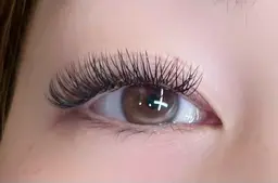 メガフラットラッシュ40束~80束(120本​〜​240本)持続力◎ナチュラルボリューム⟡.·*.