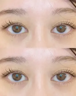 まつげパーマ✨（エクステオフなし）¥2980美容液コーティング付き※補足説明お読みください🙇