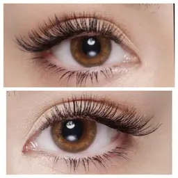 🍁❣️（初）驚異の持続力！！最新技術＊バインドロック160束２回目プラス9980🍁❣️