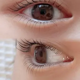 下まつ毛パーマのみ