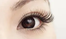 【ご新規様】バインドロック60束🌱6000円✨（シングル120本相当）お付け足し可能です🙆‍♀️※詳細ご覧ください