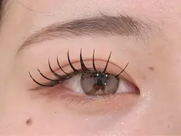 【エクステ】🌼フラットラッシュ120本🌼